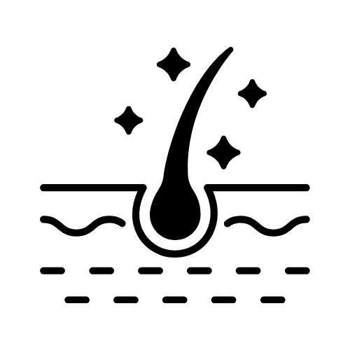 Hair follicle icon with sparkles above a cross-section showing skin layers