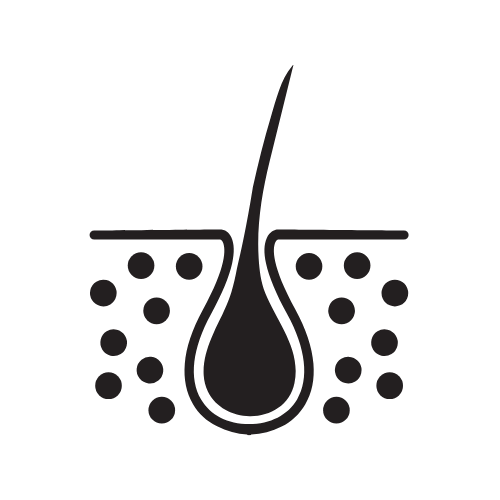 Hair follicle cross-section icon showing a single hair strand rooted in the skin with surrounding dots representing tissue